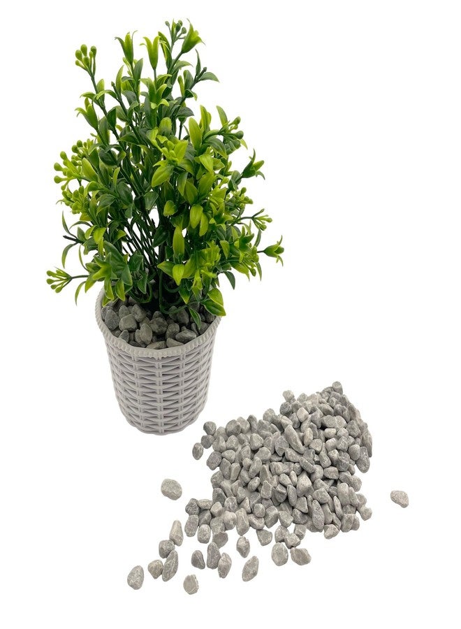 حصى مصقول طبيعي، صخور زينة للحدائق، 1 رطل من حصى نباتات الصبار والنباتات العصارية، صخور نهرية رمادية للنباتات المحفوظة في أصص، والمزهريات، وأحواض السمك، وأحواض النباتات الزجاجية، والحدائق الخارجية (0.24-0.35 بوصة) - Image 3